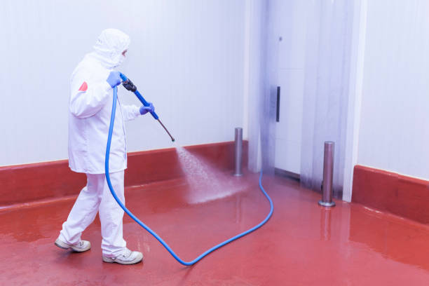 Trusted Huntington, TX Pressure Washing Services Experts